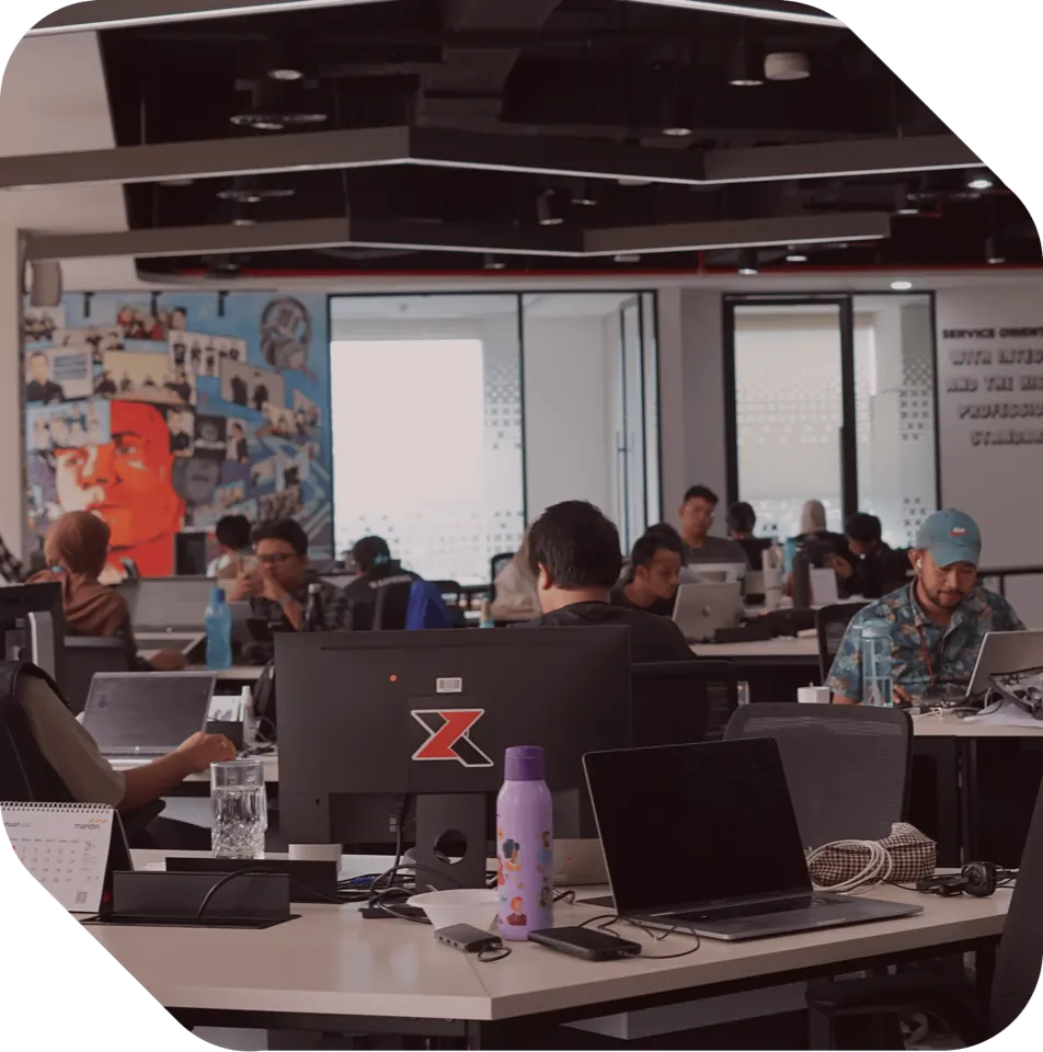 ZebraX about visualization
